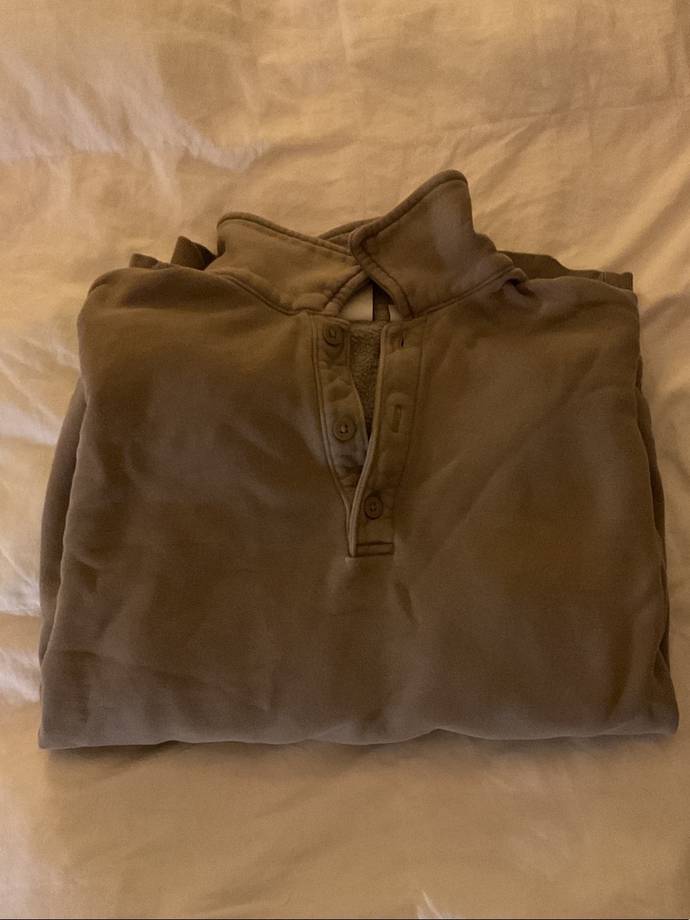 Aritzia Taupe Collared Sweatshirt